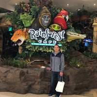 Photo taken at Rainforest Cafe by H. G. on 1/21/2018