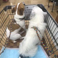 カインズホーム横須賀久里浜店 Dog Run 横須賀市のドッグラン