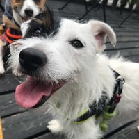 Hoa Cafe Now Closed 鎌倉市 神奈川県