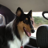 thomaston feed store