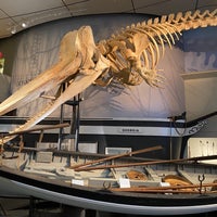 Photo taken at The Whaling Museum by Dan D. on 4/25/2022