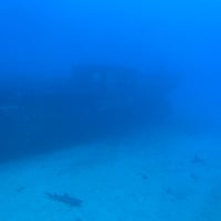 11/9/2022에 Dan D.님이 Atlantis Submarines Maui에서 찍은 사진