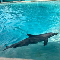 Photo taken at Aquarium Cancun by Daniela K. on 11/29/2021