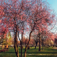 Photo taken at Atatürk Orman Parkı by Gizem Y. on 4/6/2019