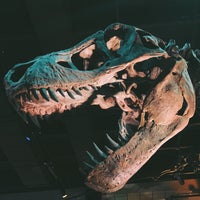 Photo taken at Morian Hall of Paleontology at HMNS by Maddie L. on 10/19/2020