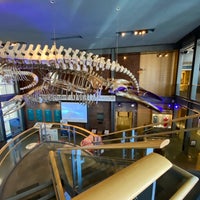 Photo prise au New Bedford Whaling Museum par Lauren le2/7/2021