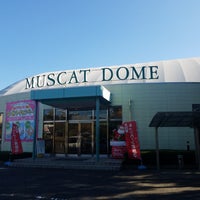 マスカットホームランドーム 中庄2261 2 マスカットホームランドーム 中庄2261 2