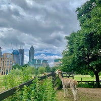 Photo taken at Vauxhall City Farm by Muneera on 7/24/2021