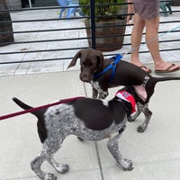 Mighty Squirrel Brewery Taproom Brewery In Waltham