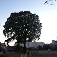 Photo taken at Kichijoji Nishi Park by Yoichi H. on 1/16/2022