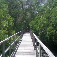 Photo taken at mangrove forest by Antonio P. on 10/23/2012
