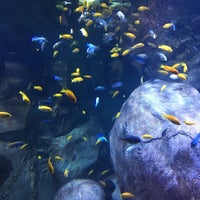Photo taken at Aquarium du Grand Lyon by Claire on 10/13/2022