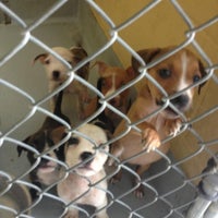 Tulsa Animal Shelter - 3101 N Erie