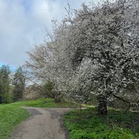 Photo taken at Battersea Park by H〰️ on 2/25/2024