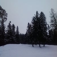 Photo taken at Хвойный Лес by Artem S. on 12/1/2012