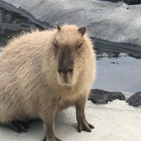 ふれあい動物王国 阿蘇ファームランド 南阿蘇村 熊本県
