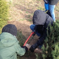 Oney S Tree Farm 1 Tip