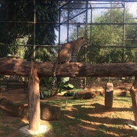 Photo taken at Pinnawala Zoo by Elizaveta S. on 1/18/2017