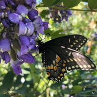 Foto tirada no(a) Vivero Growers Nursery por K C. em 3/20/2019