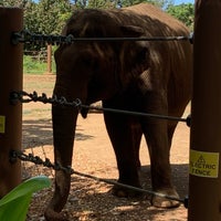 Photo taken at Honolulu Zoo by Melissa P. on 7/30/2023