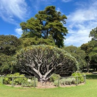 Photo taken at Royal Botanic Garden by Christian B. on 4/8/2024