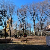 赤塚公園 バーベキュー広場 板橋区のキャンプ場