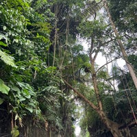 Review Jalan Raya Ubud