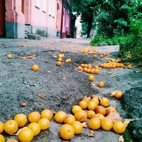 Photo taken at Ул. Павленко by Dmitry E. on 7/28/2014