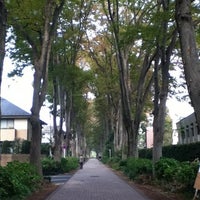 欅並木 College Quad In 武蔵野