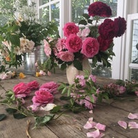 Wild Aesthetic Flowers