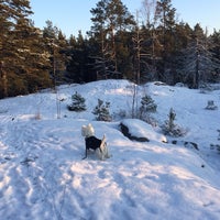 Photo taken at Metsikköpolku by Diana I. on 1/18/2014