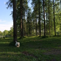 Photo taken at Longinojanpuiston koira-aitaus by Diana I. on 5/24/2014