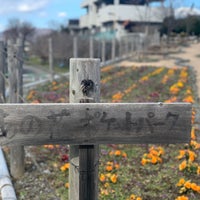 あの花ポケットパーク 46 Visitors