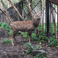 Photo taken at Зоопарк by Маринка💋 on 9/16/2020