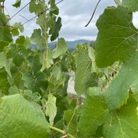 Foto scattata a Stinson Vineyards da Deborah il 8/7/2021