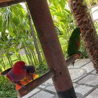 Photo taken at Bali Bird Park by Nasser . on 6/28/2022