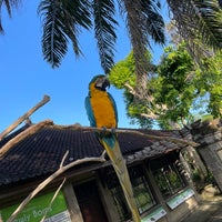 Photo taken at Bali Bird Park by Nasser . on 6/28/2022