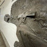 Photo taken at MTA Subway - 81st St/Museum of Natural History (B/C) by Patty G. on 6/22/2023