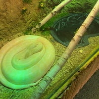 8/10/2021にPatty G.がAustin Aquariumで撮った写真