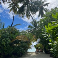 11/13/2023에 Mark P.님이 Vilu Reef Beach Resort &amp;amp; Spa, Maldives에서 찍은 사진