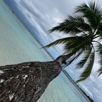 11/13/2023にMark P.がVilu Reef Beach Resort &amp;amp; Spa, Maldivesで撮った写真