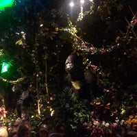 Photo taken at Rainforest Cafe by Brent M. on 6/29/2018
