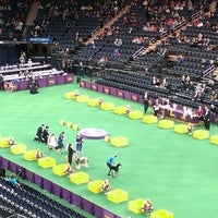 Photo taken at 136th Westminster Kennel Club Dog show by Mike W. on 2/13/2013