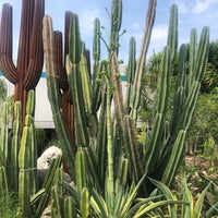 Photo taken at Cactus Garden by Alex on 4/17/2023