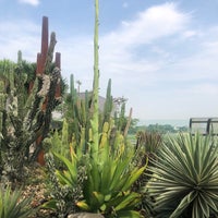 Photo taken at Cactus Garden by Alex on 4/17/2023