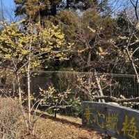 Photo taken at 蝋梅苑 by Akira H. on 2/12/2023