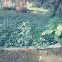 Review Taman Tongkeng