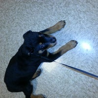 Petsmart Pet Store In Wyomissing