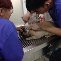 Photo taken at โรงพยาบาลสัตว์หมาแมวยิ้มแฉ่ง by MiYaBi E. on 9/1/2015