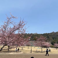 Photo taken at Horinouchi Park by レブロス on 3/25/2022
